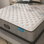 HARMONY LUX XF